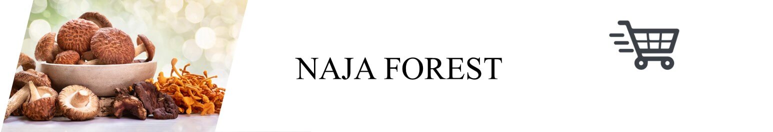Naja Forest Banner