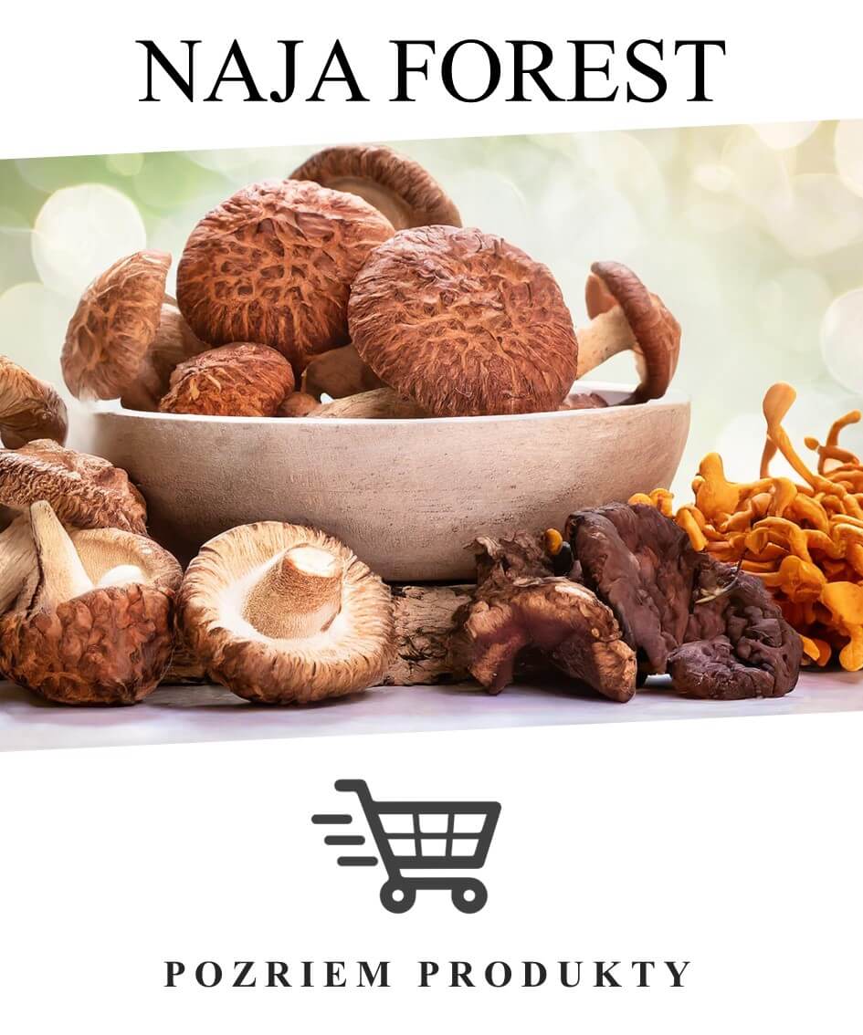 Naja Forest Banner