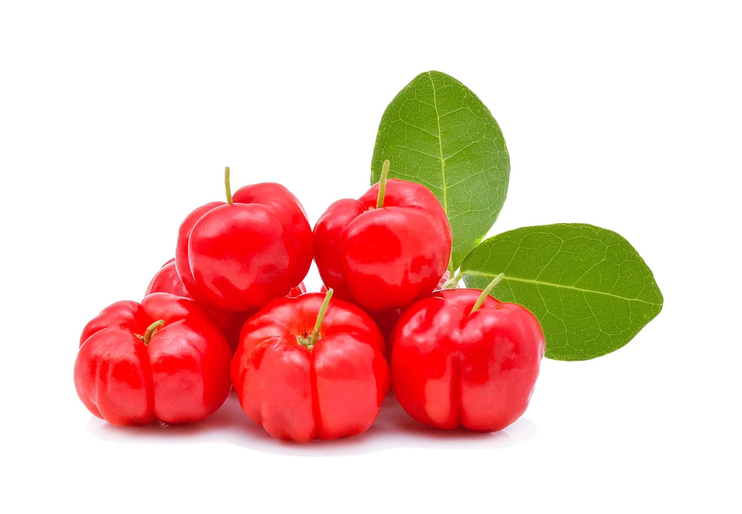 Acerola (Malpighia glabra L.)
