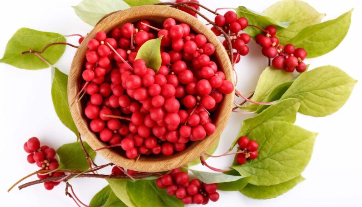 Schizandra čínska