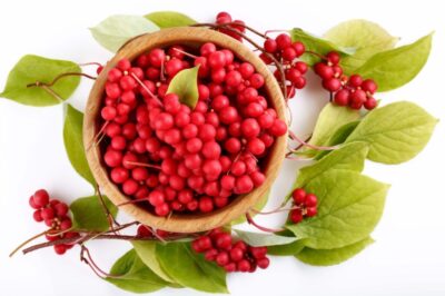 Schizandra čínska