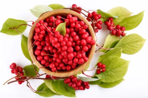 Schizandra čínska