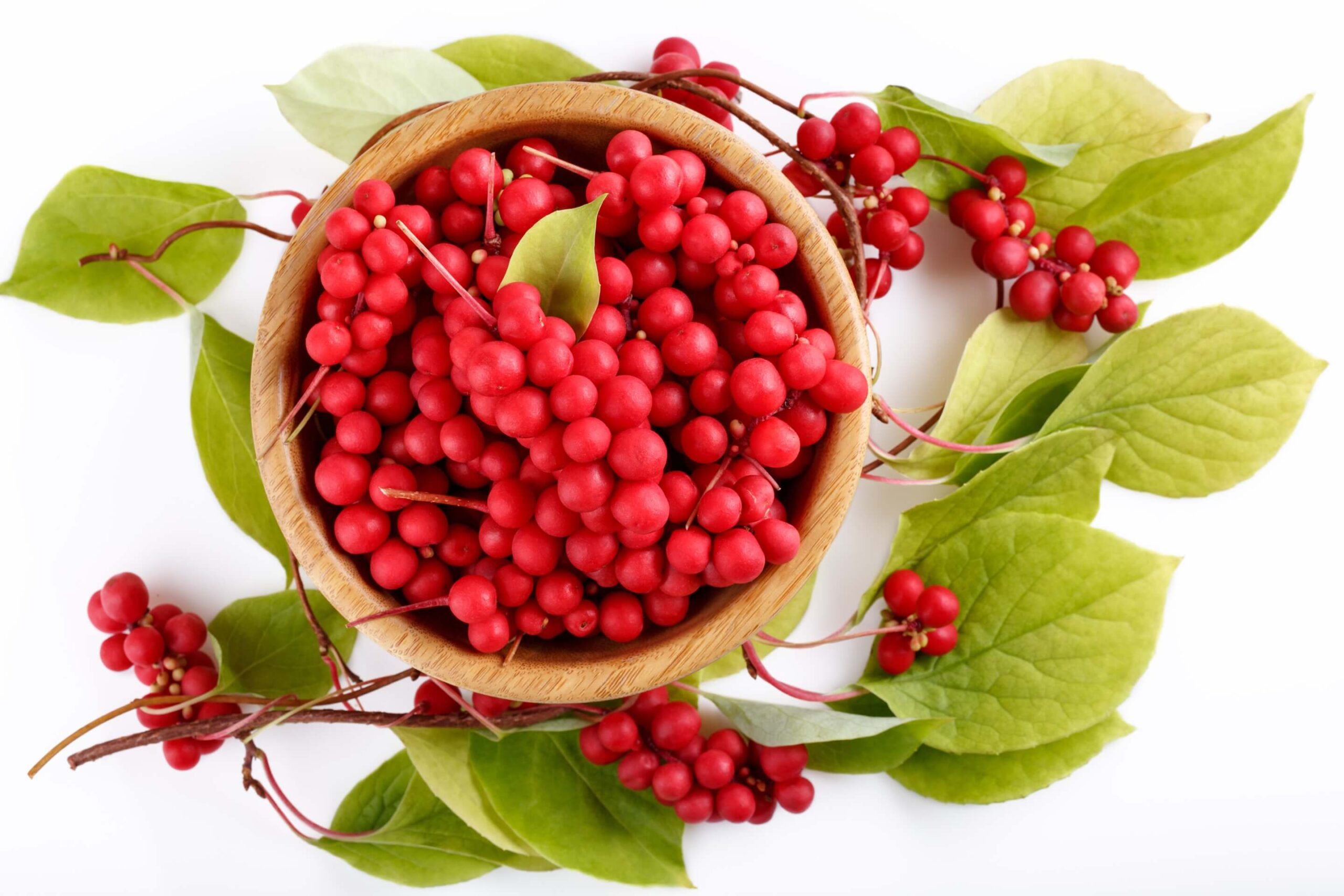 Schizandra čínska (Schisandra chinensis)